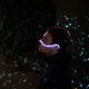 A man poses with the light up Starsight device hung over the bridge of his nose