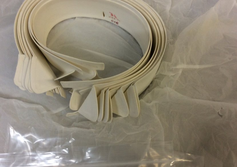 National Museum of Ireland, Dublin