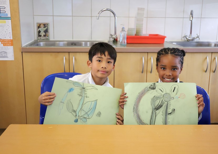 Plant Power workshop