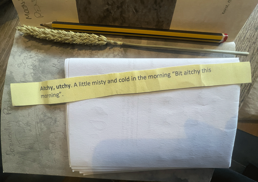 Making of a Meadow notebook, Jess Potter, design by Bea Tailby Hardstaff