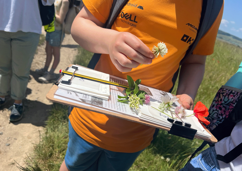 Making of a Meadow workshop for children. June 2025.