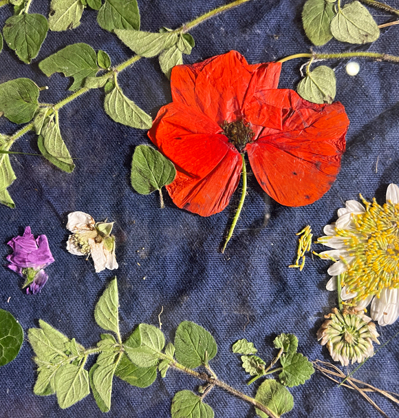 Making of a Meadow workshop for children. June 2025.