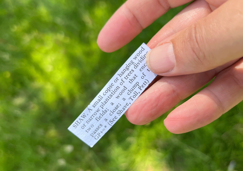 Nether Walk with Sara Trillo, July 2025