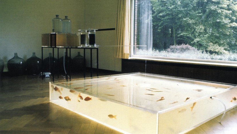 A large, clear rectangular tank on the floor filled with water and goldfish, adjacent to a large window revealing a forested area outside.