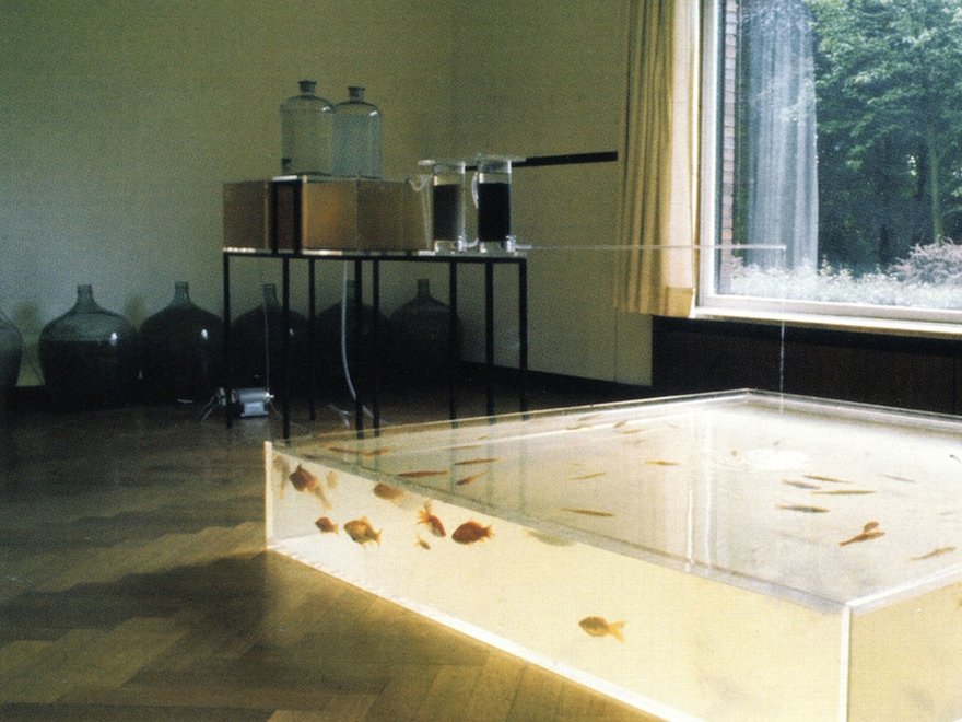 A large, clear rectangular tank on the floor filled with water and goldfish, adjacent to a large window revealing a forested area outside.