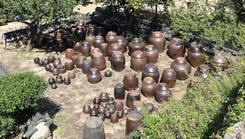 Onggi jars in South Korea fermenting kimchi, soy sauce, and pastes.