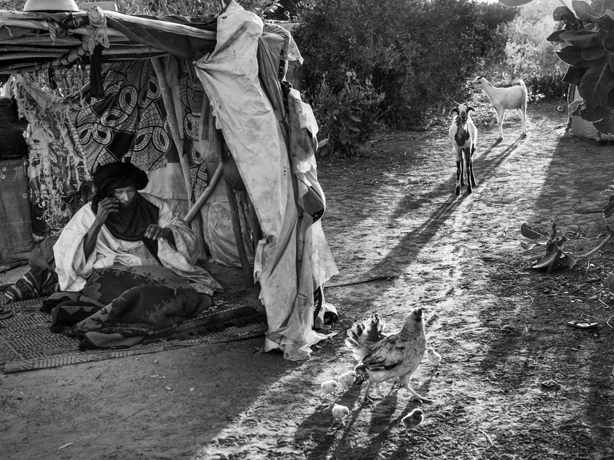Precarious camp, Abalak, Niger