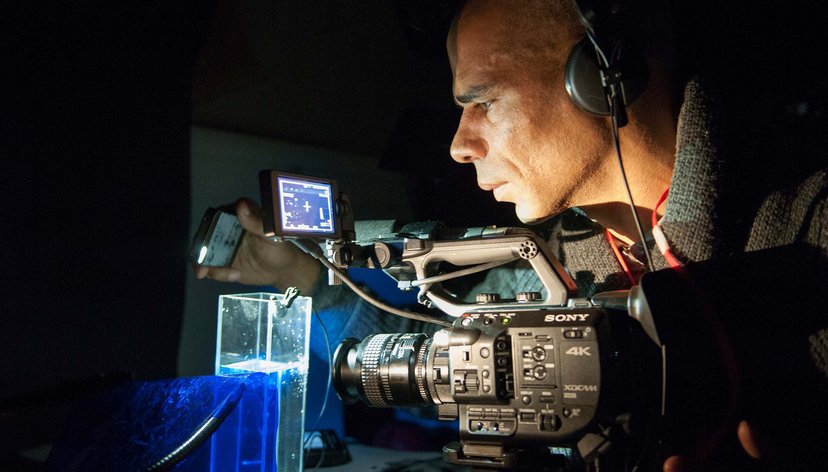 Wayne Binitie, Ice Bubble Recording