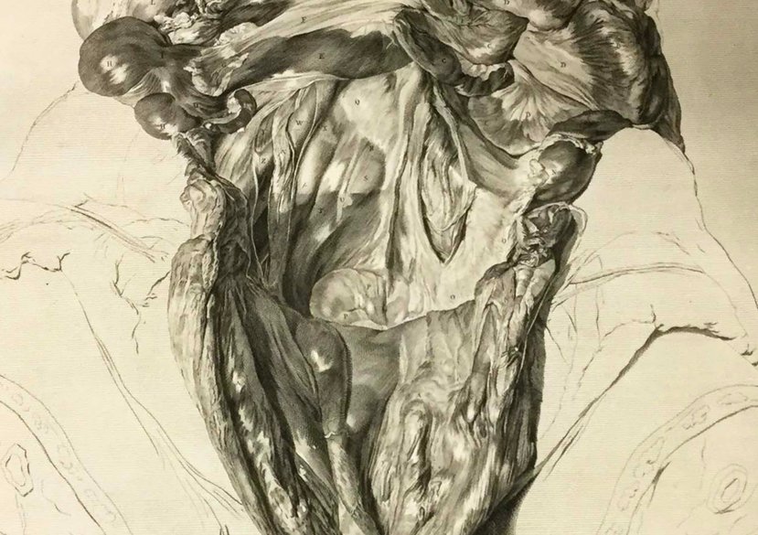 Gemma Blackshaw and Alice Butler, Sick Women: The Chronic-poetics of Feminist Art History, SoAH Platform, 8 June 2021.