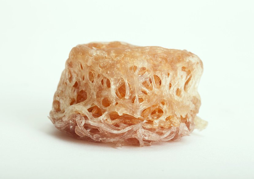 Recipes for Material Activism (sponge)