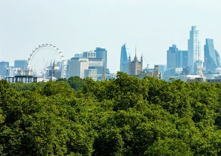 View 7th Floor Terrace, Rausing Building Battersea