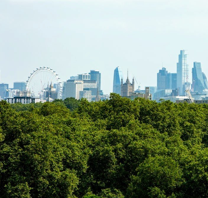 View 7th Floor Terrace, Rausing Building Battersea