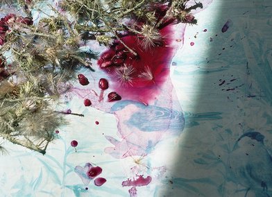 Blood of Adonis (death and rebirth), The Truth is in the Soil, 2018