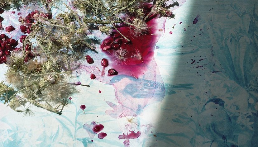 Blood of Adonis (death and rebirth), The Truth is in the Soil, 2018