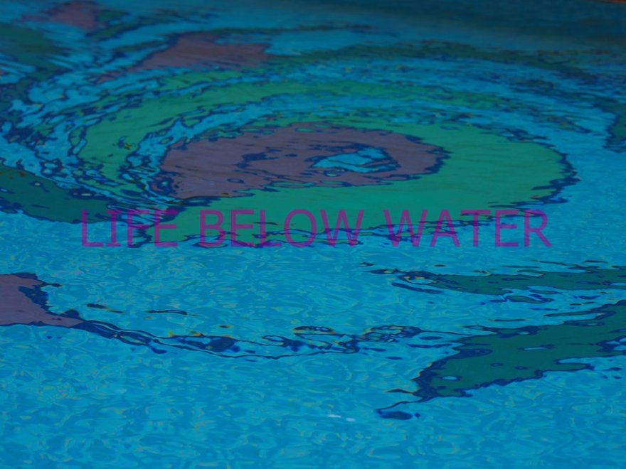 Janet Lee (Haynes), Life Below Water, 2021 RCA Contemporary Art Summer School