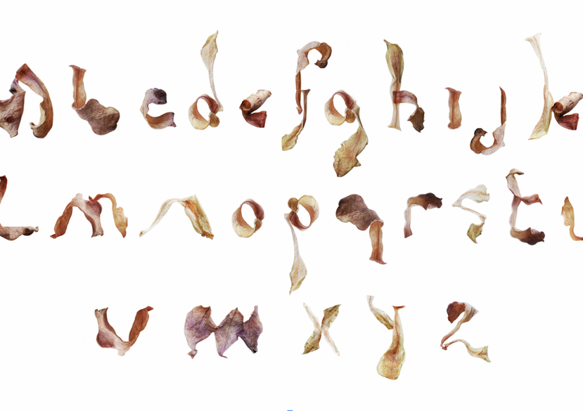 Jasamine Liu, Typography Participant 2025