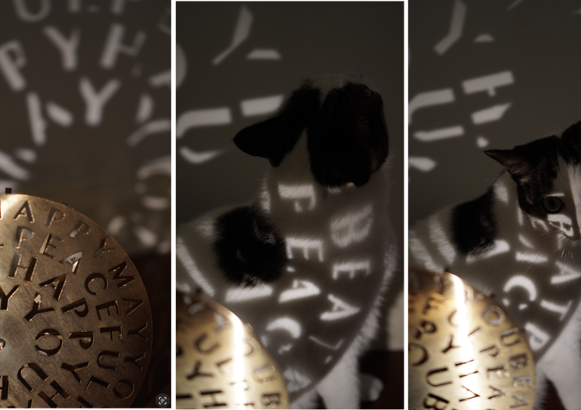 Jasamine Liu, Typography Participant 2025