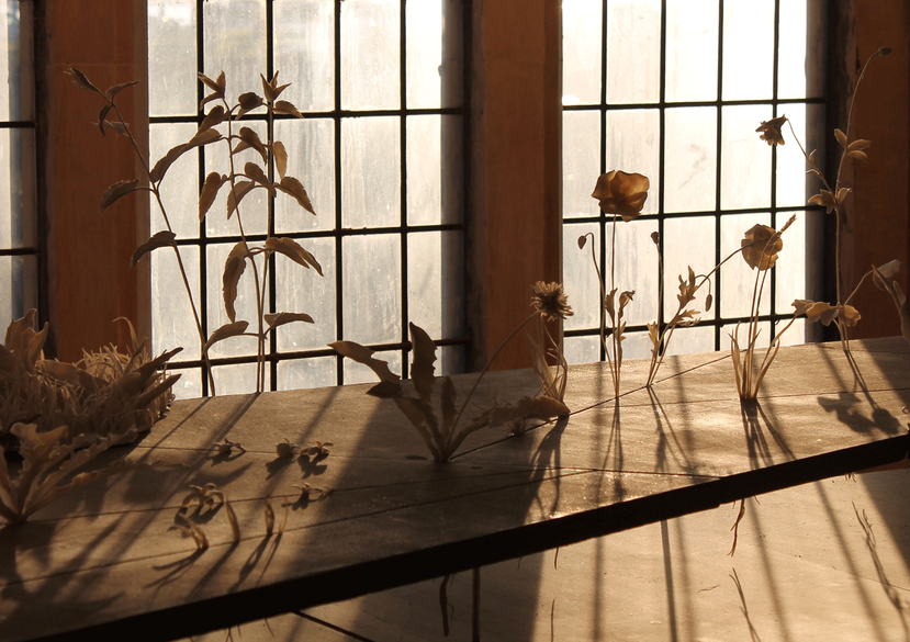 Lambeth Wilds, Garden Museum, 2019 (detail installation shot)