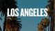 LA palm trees