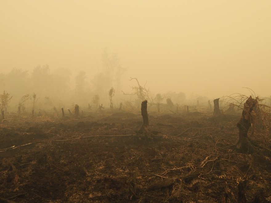 Indonesian Forests on Fire, September 2015: Source unknown.