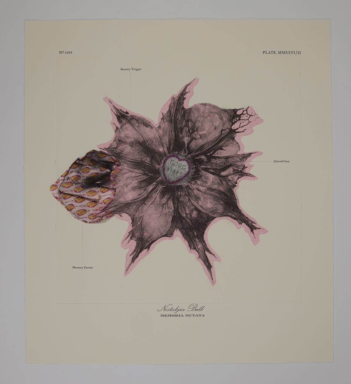 Laura Townsend MA Print