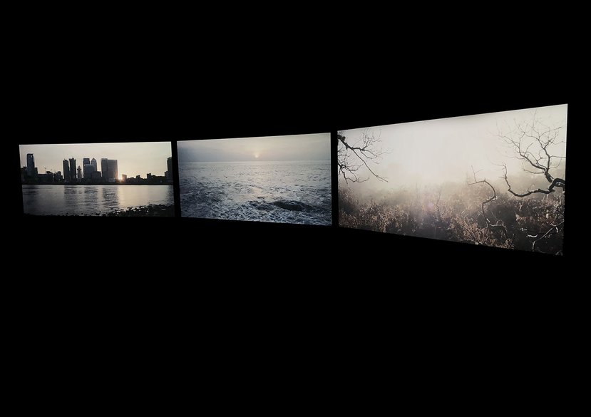 Future Scenarios, 2016-2021. Installation View: Kunst Haus Wien, Museum Hundertwasser, Vienna