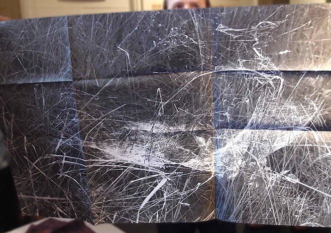 Light Trap, photocopy on paper with pencil.