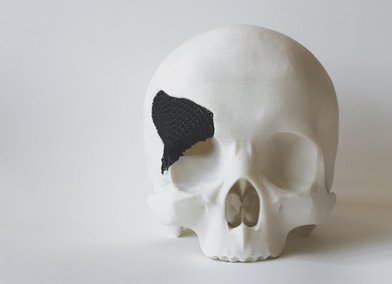 Carbon Forest Products