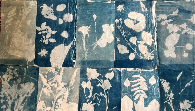 Making of a Meadow - cyanotype quilt, 2025. Made in collaboration with year 5 and 6 of Lady Joanna Thornhill Primary School