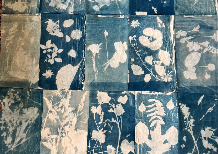 Making of a Meadow - cyanotype quilt, 2025. Made in collaboration with year 5 and 6 of Lady Joanna Thornhill Primary School