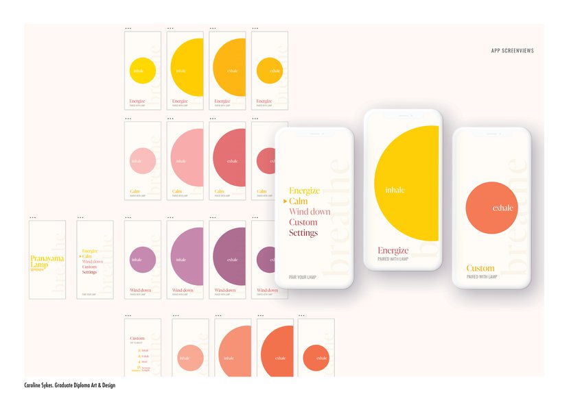 Portfolio Development