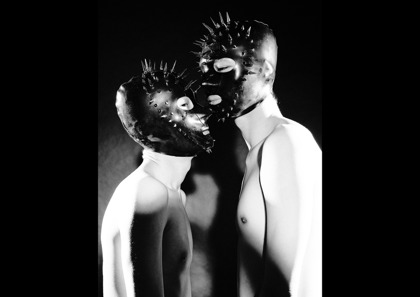 Hedgehog’s Dilemma