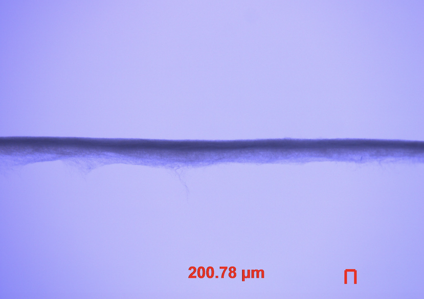 Microscope_image_of_yarn_specimen_Salisbury_2019.png