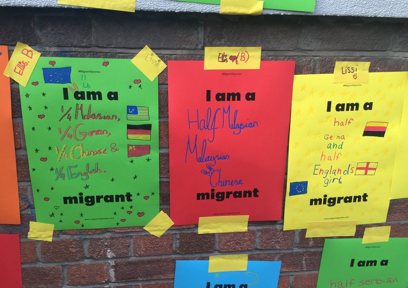 Migrant Species in collaboration with Hettie O’Brien, Aoife Breen & Michael Pecirno