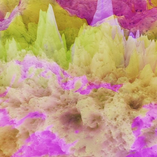 Modes of Symbiosis, Salar de Llamara