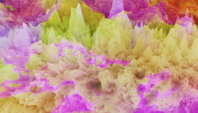 Modes of Symbiosis, Salar de Llamara