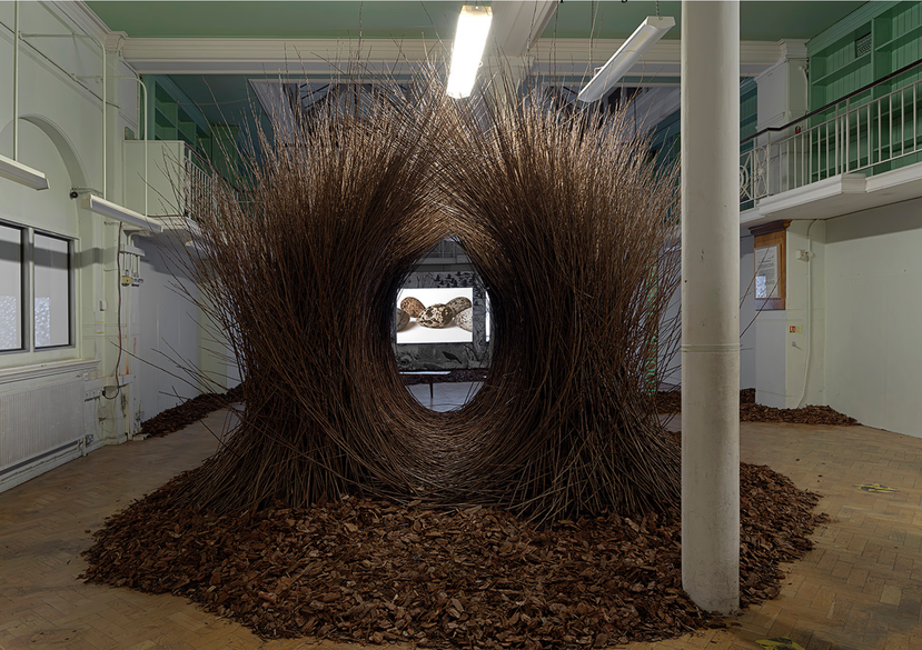 Natural Selection, with Peter Holden, Artangel, 2017