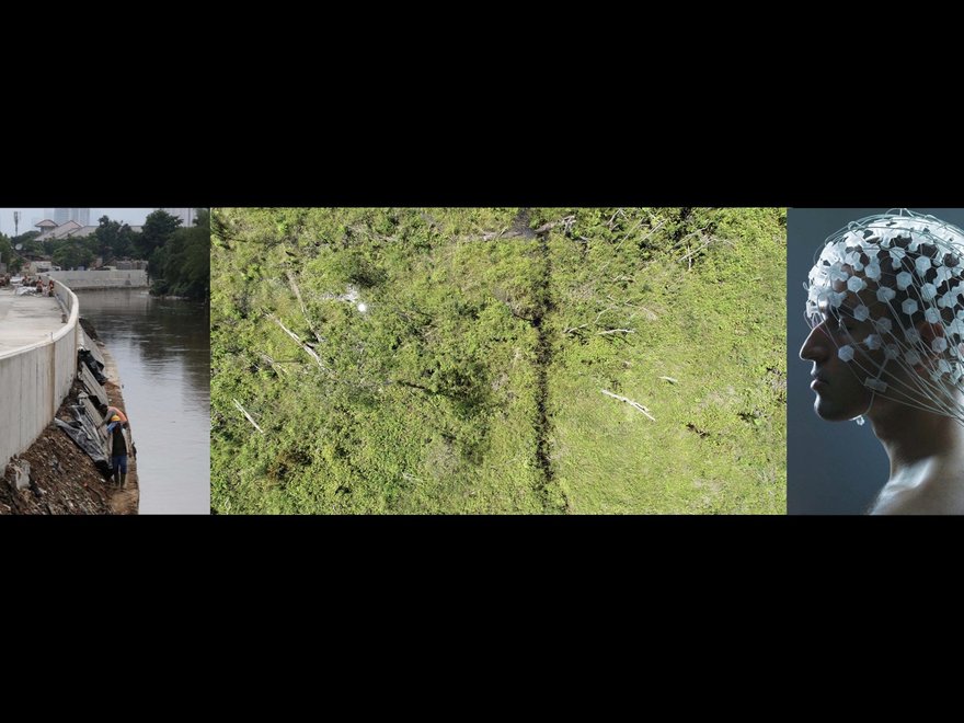 How do we know what we know? From left to right: The Ciliwung River, Jakarta, Indonesia; Ancestral boundaries in peat forest in Central Kalimantan; Brain Machine Interface, Tokyo.