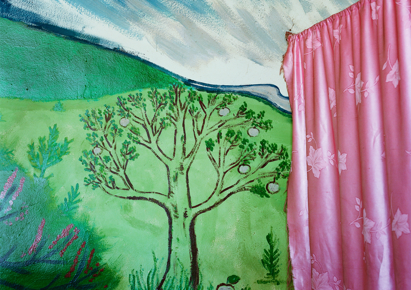 White Apple Red Village