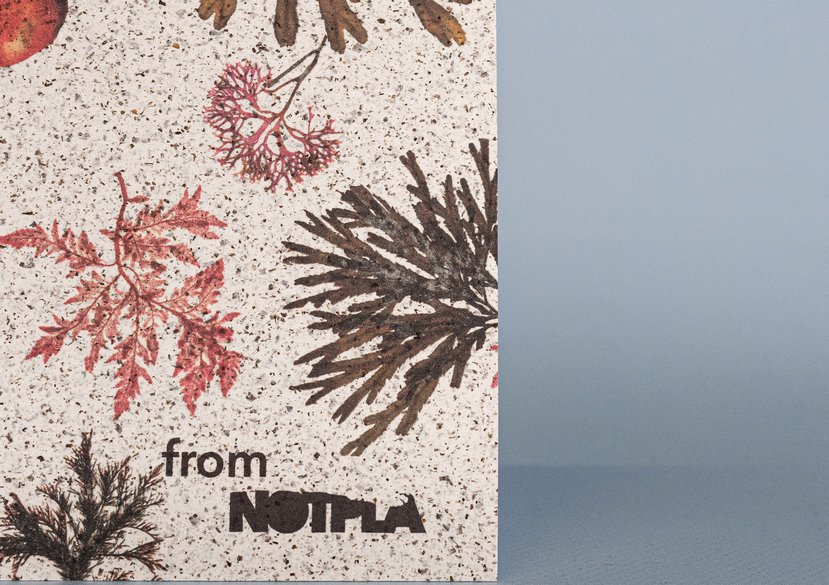 Notpla Paper _ print seaweed