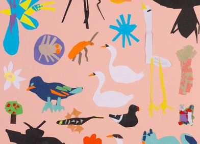 Our Beautiful Neighbourhood