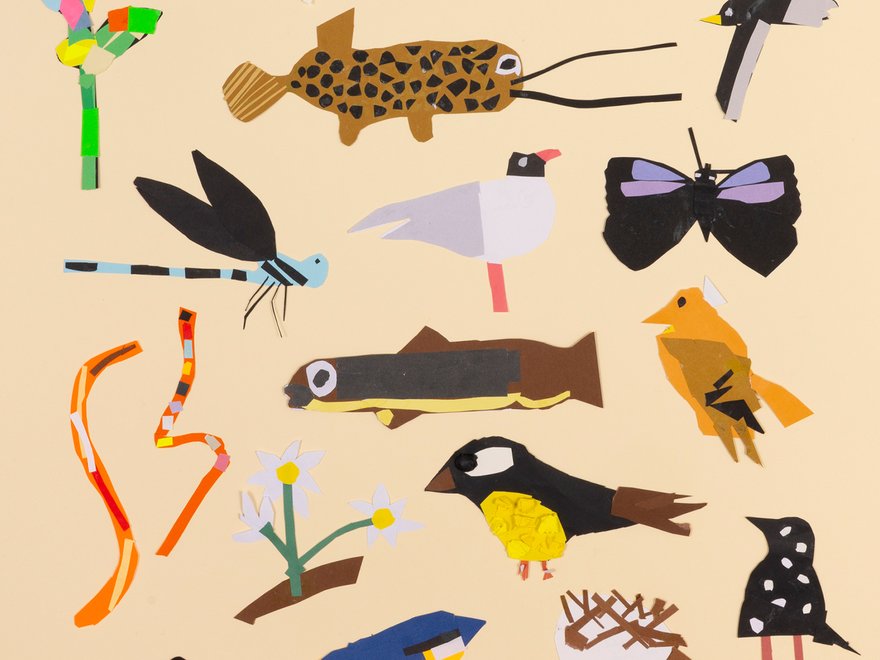 Our Beautiful Neighbourhood Collage