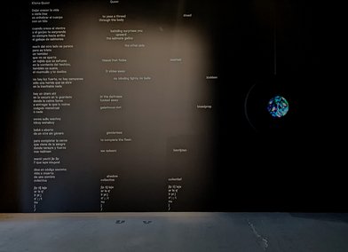 Organ of Radical Care