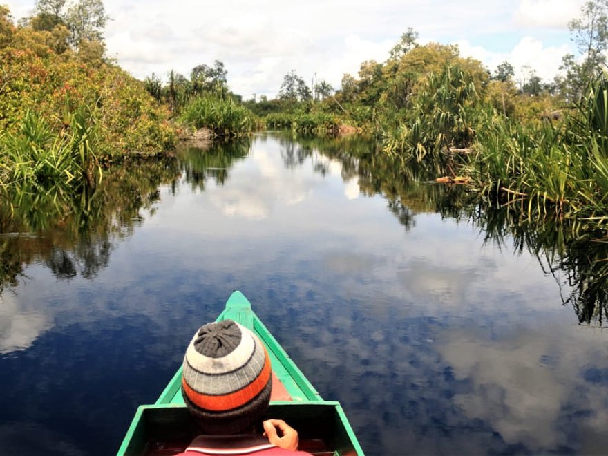 Student trip into the peat swamp with WALHI, Central Kalimantan, January 2019: Christina Leigh Geros.