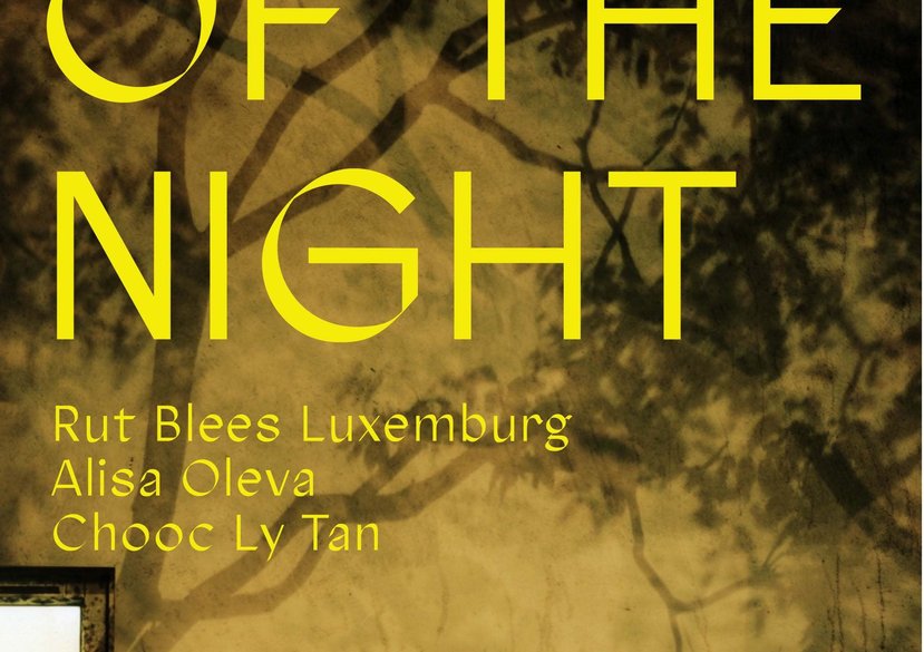 Collective night walk supported by RCA Research Site & Situation at 10pm led by artist Alisa Oleva