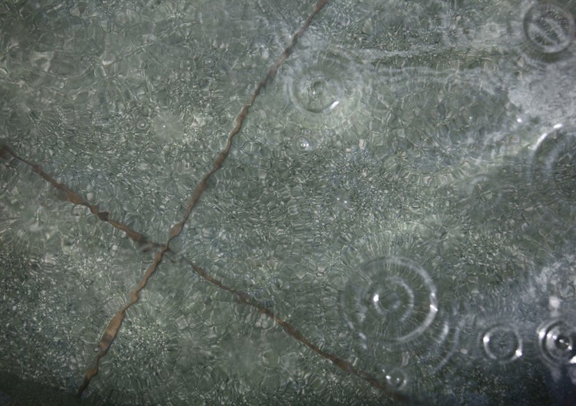 Plaza Dignidad, 2022