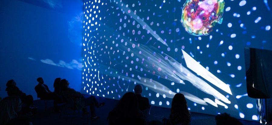 Snap Visualisation Lab