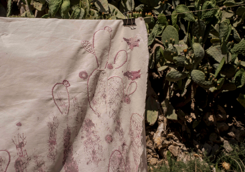 A flag printed with ink and embroidered with threads dyed with the cochineal insect in Ein Qiniya, Palestine.