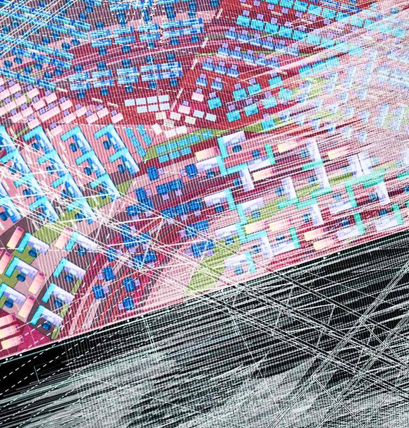 Show 2019, installation view