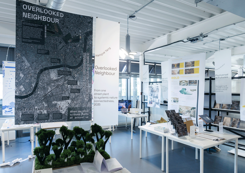 Overlooked Neighbour by Haoyue Yang at Design Futures graduate show. Photo: Chris Lee